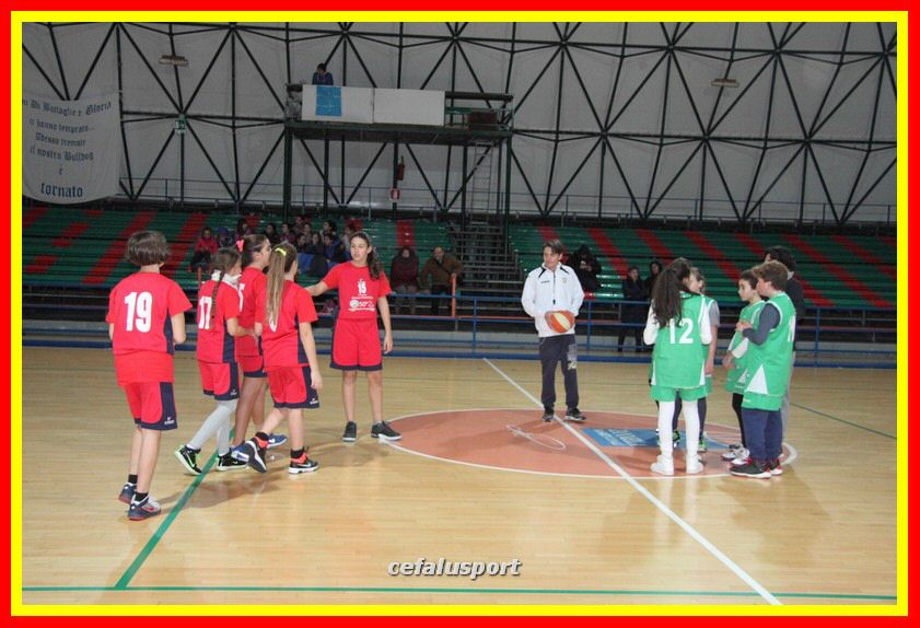 170107 basket 179_tn.jpg